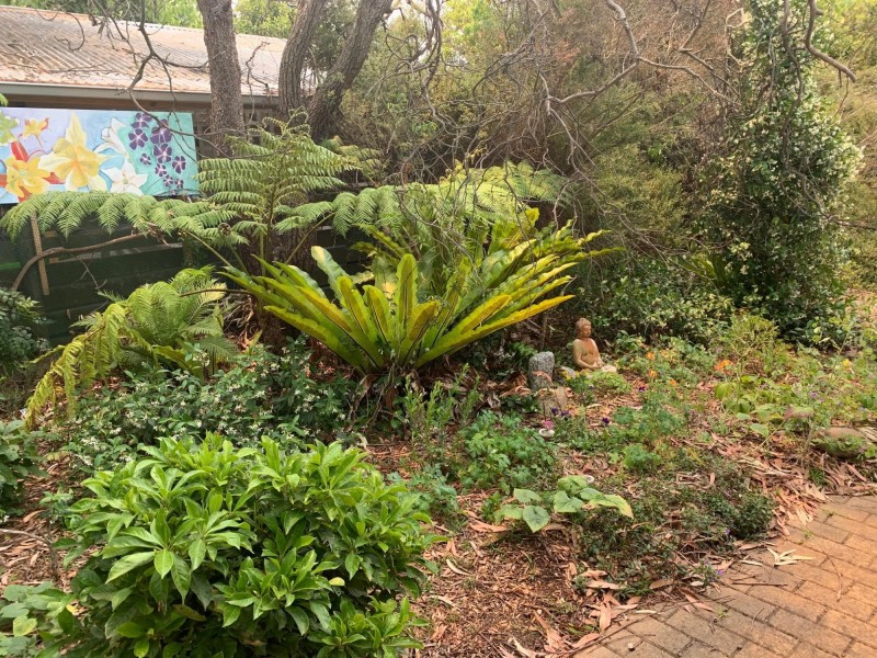 11 Banksia Street, Broulee NSW 2537