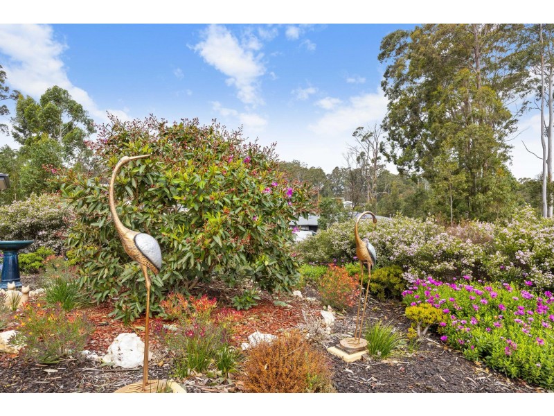 43 Litchfield Crescent, Long Beach NSW 2536