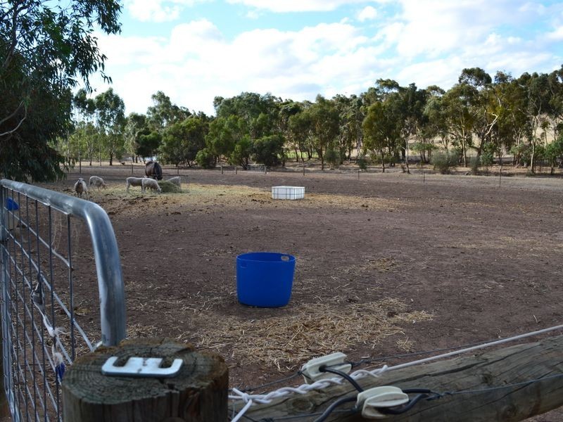 7/68 Benbournie Road, Clare SA 5453