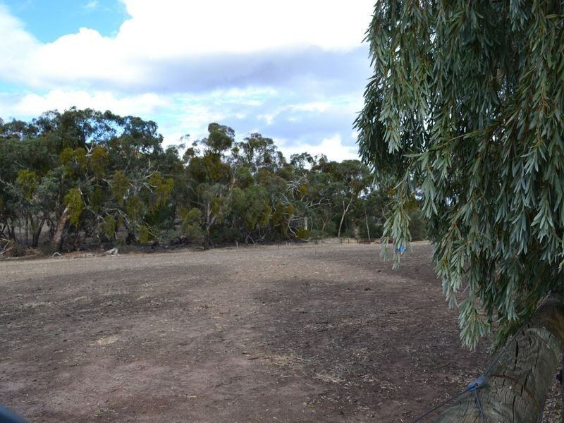 7/68 Benbournie Road, Clare SA 5453