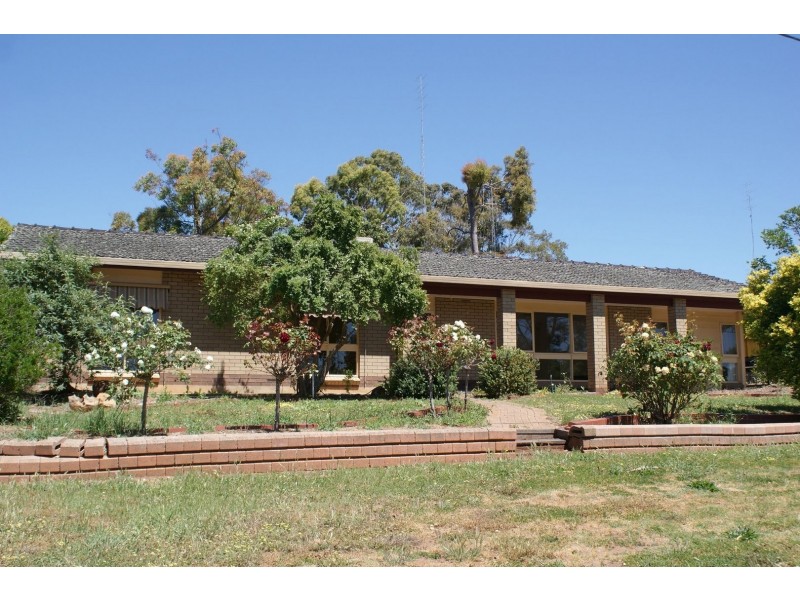 3 East View Street, Clare SA 5453