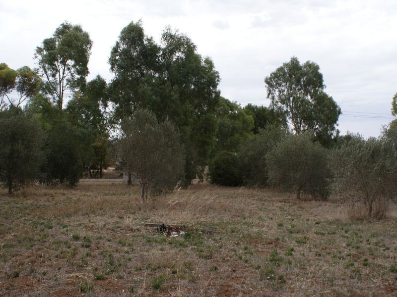 401 Auburn  Road, Auburn SA 5451