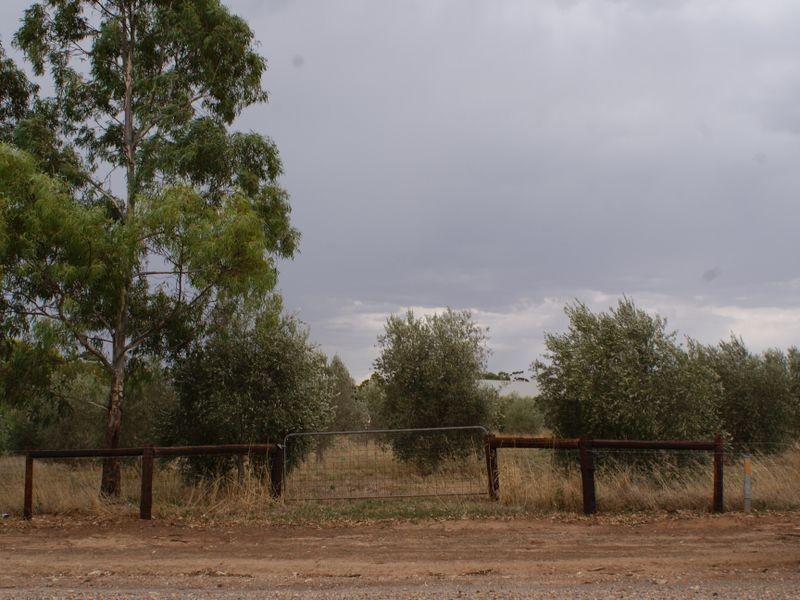 401 Auburn  Road, Auburn SA 5451