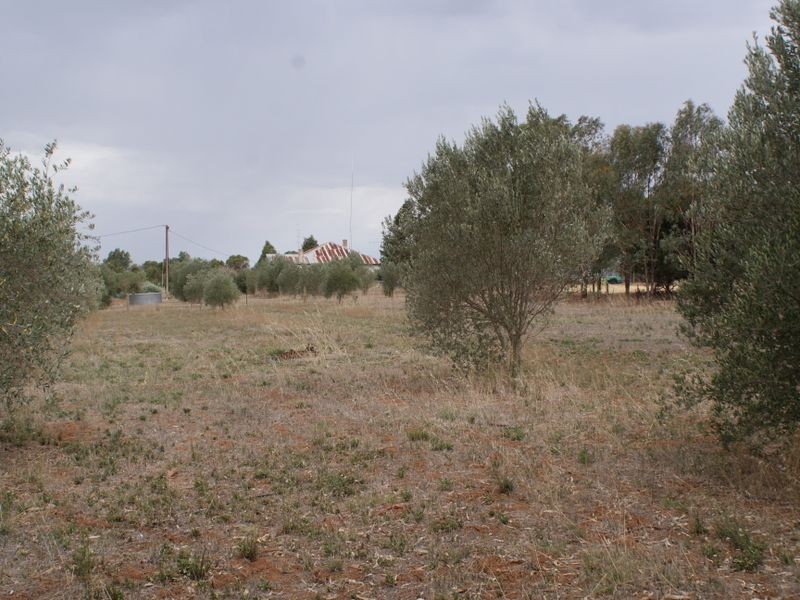 401 Auburn  Road, Auburn SA 5451