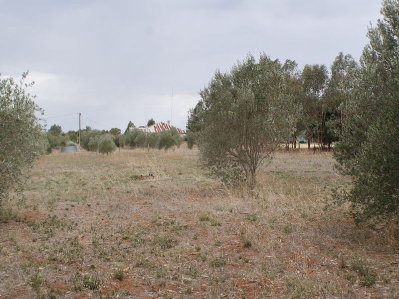 401 Auburn  Road, Auburn SA 5451