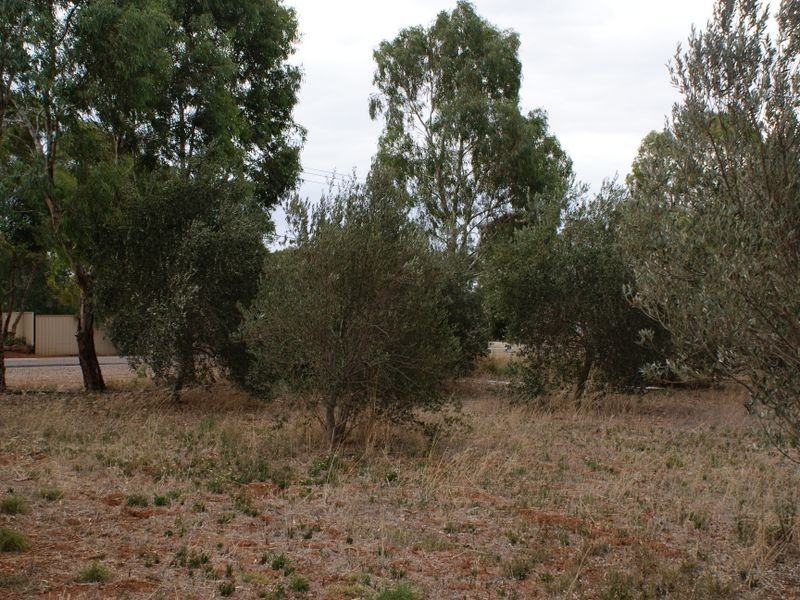 401 Auburn  Road, Auburn SA 5451