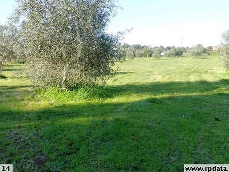 401 Auburn  Road, Auburn SA 5451