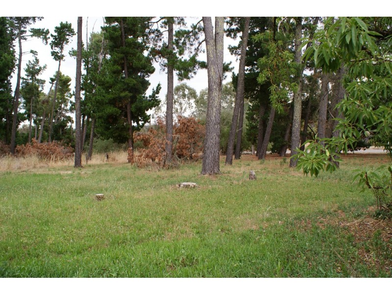 131 St Georges Terrace, Armagh SA 5453