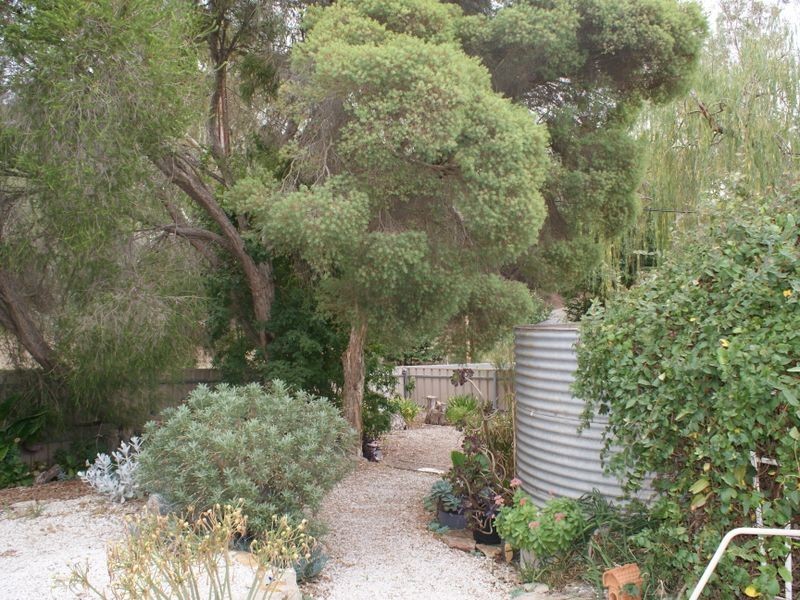 56 Victoria Road, Clare SA 5453