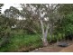5 Archer Street, Clare SA 5453