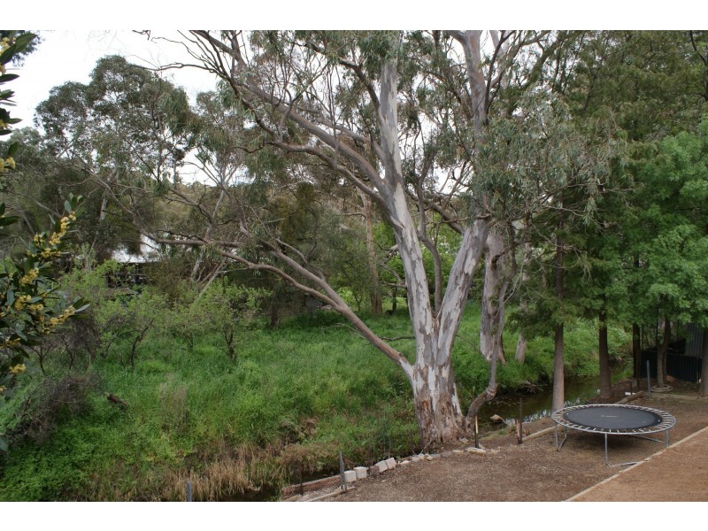 5 Archer Street, Clare SA 5453