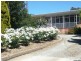14 Powell Street, Clare SA 5453