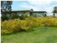 150 Basham Road, Clare SA 5453