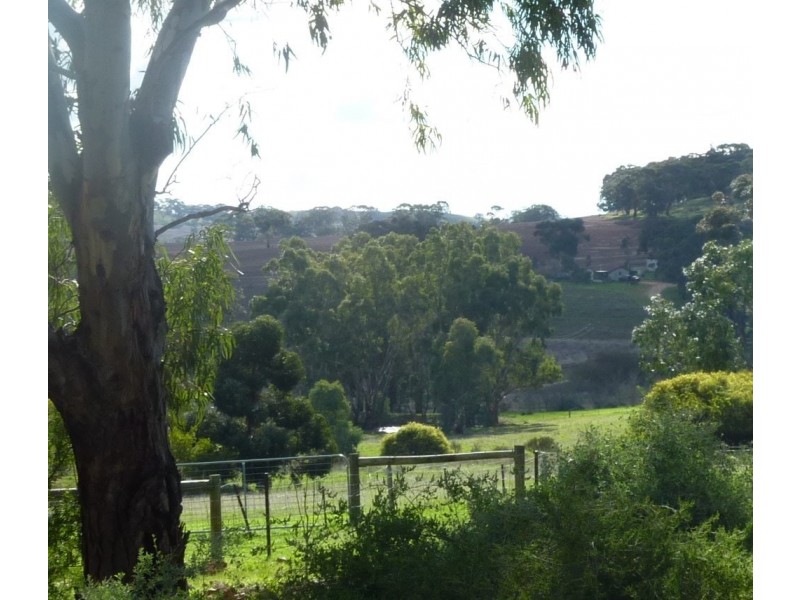 150 Basham Road, Clare SA 5453