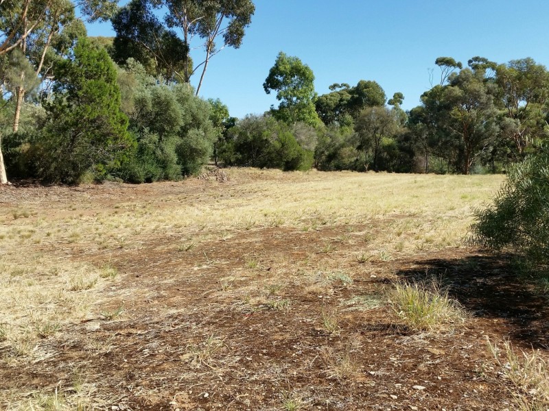 6 – 7 West Terrace, Leasingham SA 5452