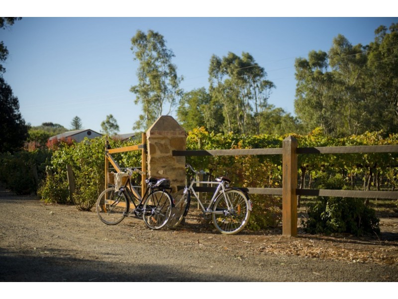 15 Sheoak Road, Watervale SA 5452