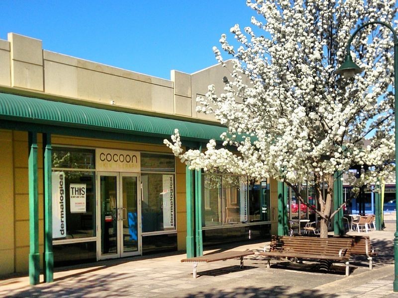 205 Main North Road, Clare SA 5453