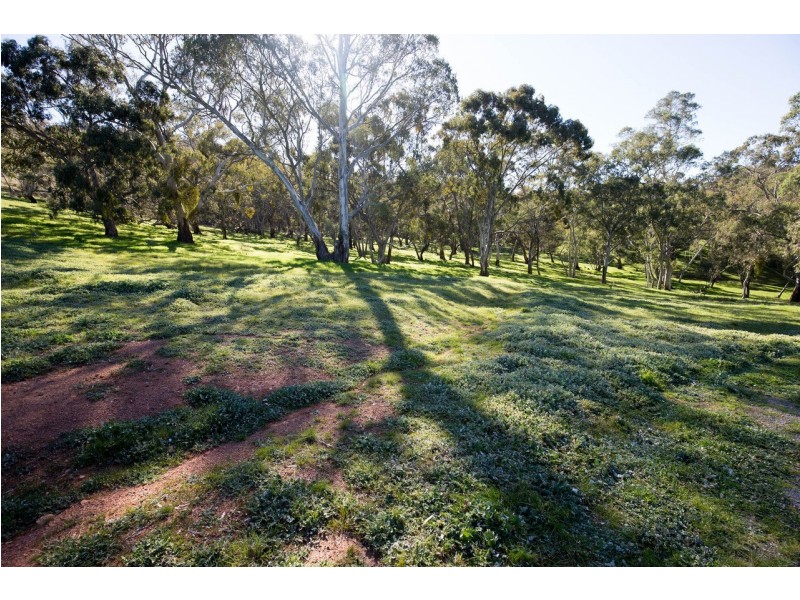 62 Hughes Park Road, Penwortham SA 5453