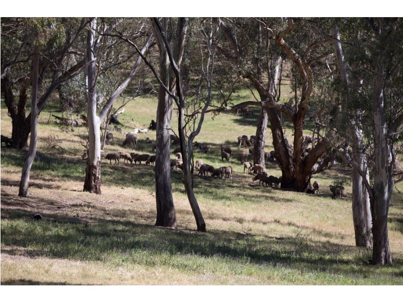 62 Hughes Park Road, Penwortham SA 5453