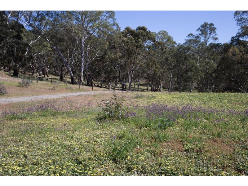 62 Hughes Park Road, Penwortham SA 5453