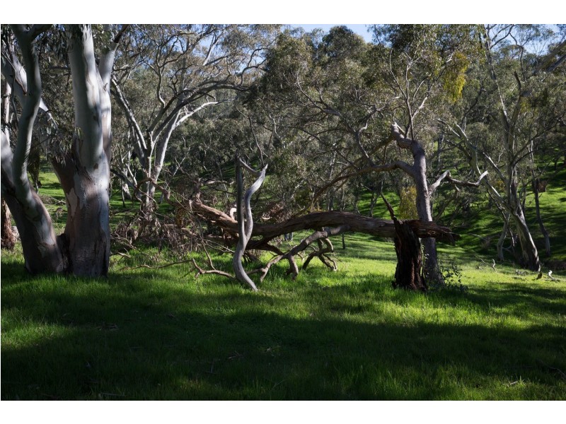 62 Hughes Park Road, Penwortham SA 5453