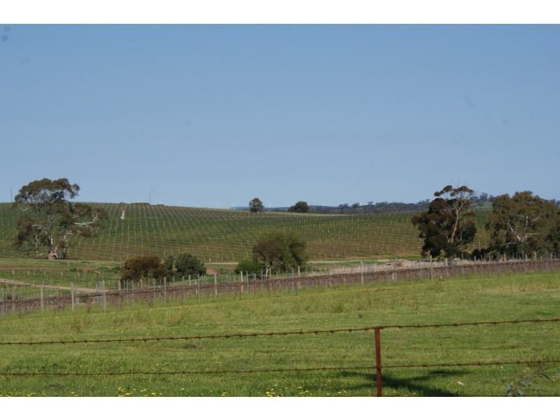 20 Catholic Church Road, Mintaro SA 5415