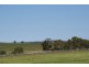 20 Catholic Church Road, Mintaro SA 5415