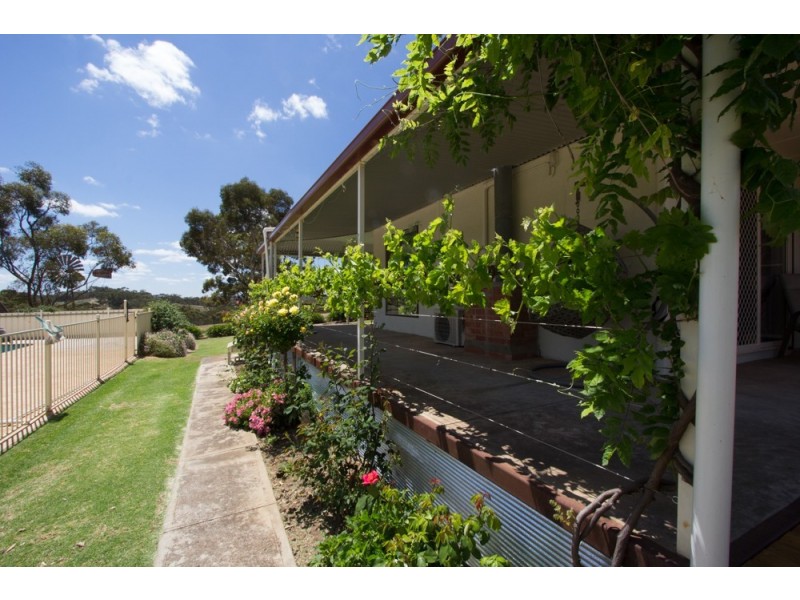 65 Muanu Road Spring Gully, Clare SA 5453