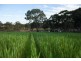 65 Muanu Road Spring Gully, Clare SA 5453