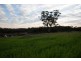 65 Muanu Road Spring Gully, Clare SA 5453