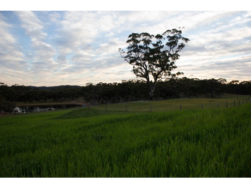 65 Muanu Road Spring Gully, Clare SA 5453
