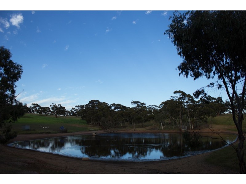65 Muanu Road Spring Gully, Clare SA 5453