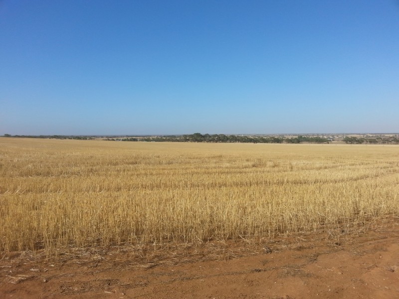 3599 Owen Road, Owen SA 5460