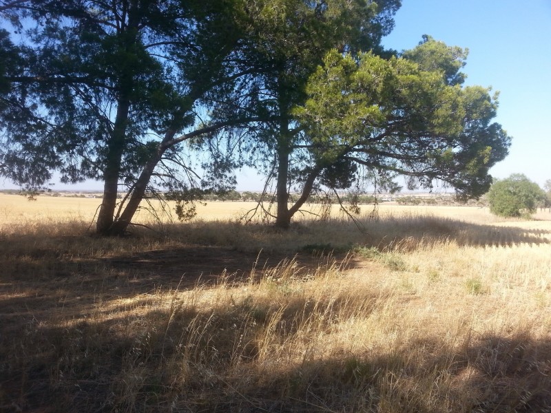 3599 Owen Road, Owen SA 5460