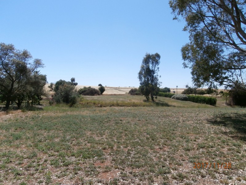 91 Wakefield Street, Mintaro SA 5415