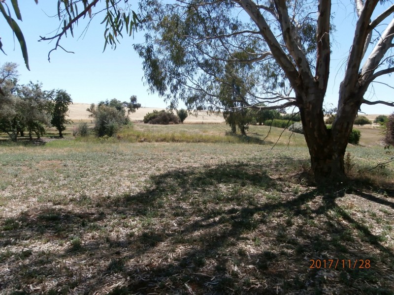 91 Wakefield Street, Mintaro SA 5415