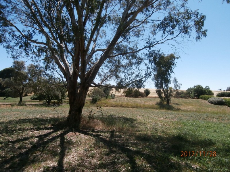 91 Wakefield Street, Mintaro SA 5415