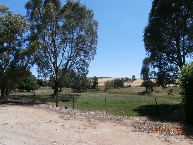 91 Wakefield Street, Mintaro SA 5415