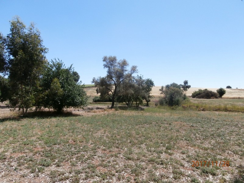 91 Wakefield Street, Mintaro SA 5415