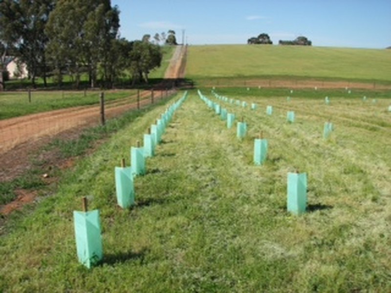 379 Thompson Priest Road, Mintaro SA 5415