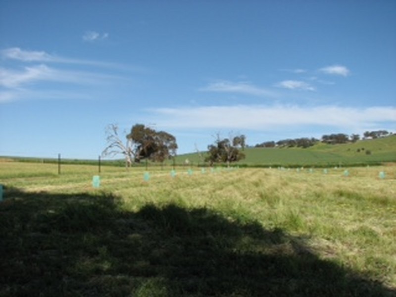 379 Thompson Priest Road, Mintaro SA 5415