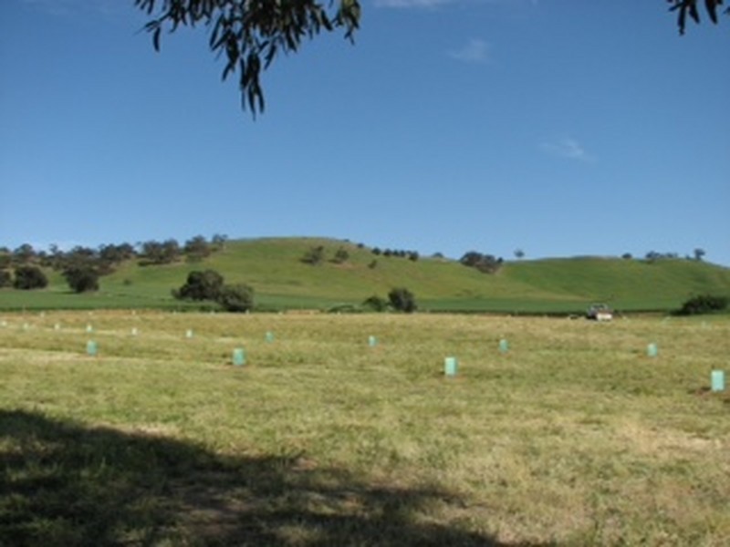 379 Thompson Priest Road, Mintaro SA 5415