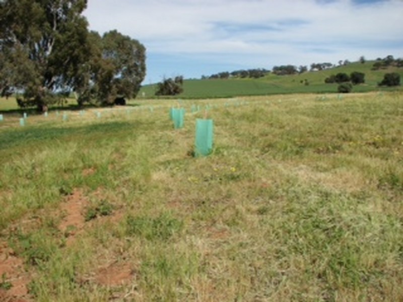 379 Thompson Priest Road, Mintaro SA 5415