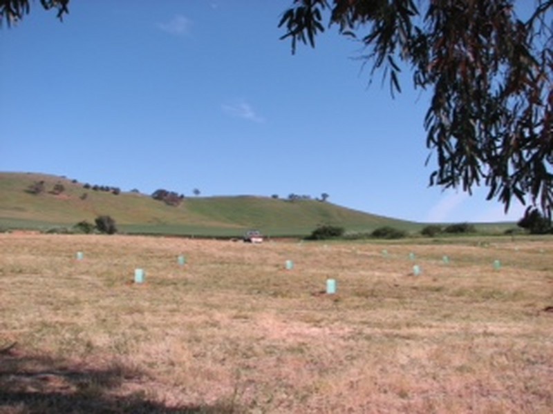 379 Thompson Priest Road, Mintaro SA 5415