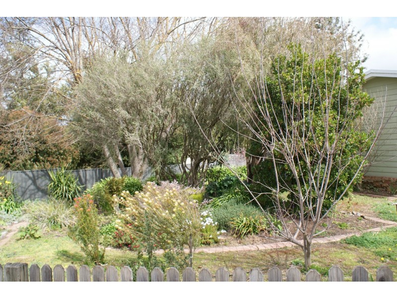 2 Tilbrook Avenue, Clare SA 5453