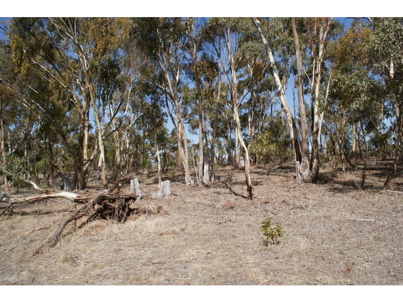 Lot 3 Stanley Place, Clare SA 5453