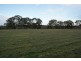Lot 300 Burra Street, Mintaro SA 5415