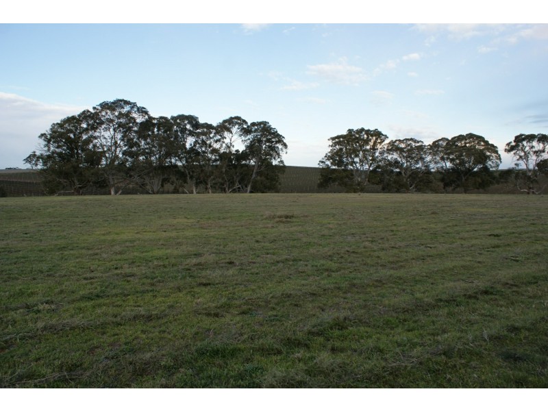 Lot 300 Burra Street, Mintaro SA 5415