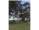 Lot 300 Burra Street, Mintaro SA 5415