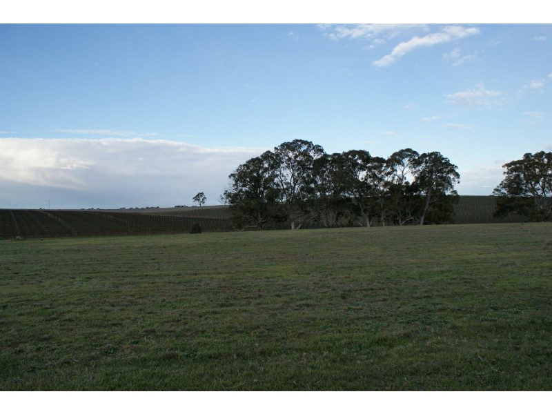 Lot 300 Burra Street, Mintaro SA 5415